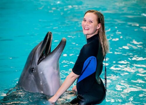 Dubai Dolphinarium Experiences