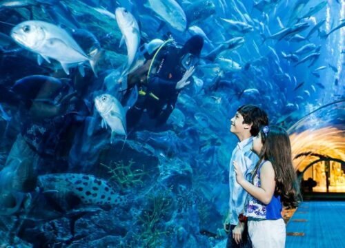 Dubai Aquarium & Underwater Zoo