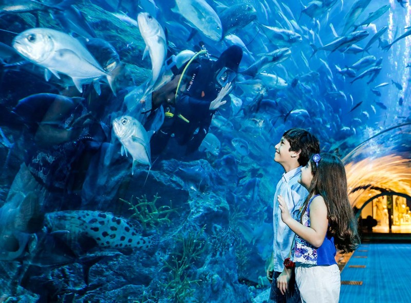 Dubai Aquarium & Underwater Zoo
